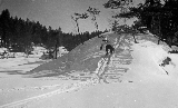 vinter-asle-ski